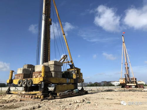 溫嶺創新工業用地“先租后讓”模式獲全省推廣，助力企業高效發展